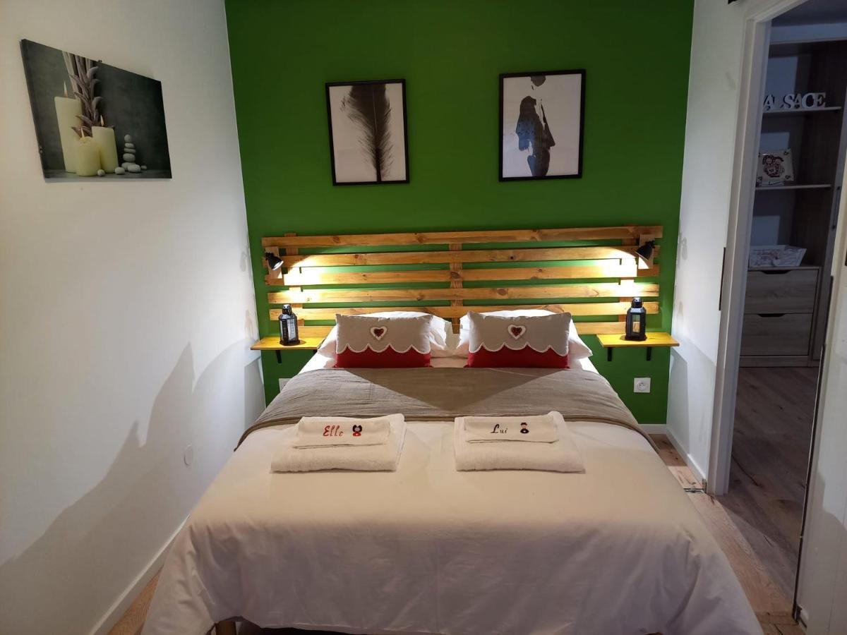 Le Passage Gite Cocooning A Colmar Centre Touristique מראה חיצוני תמונה