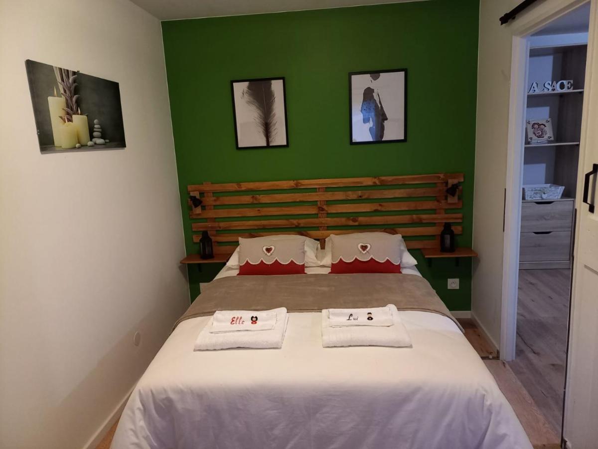Le Passage Gite Cocooning A Colmar Centre Touristique מראה חיצוני תמונה